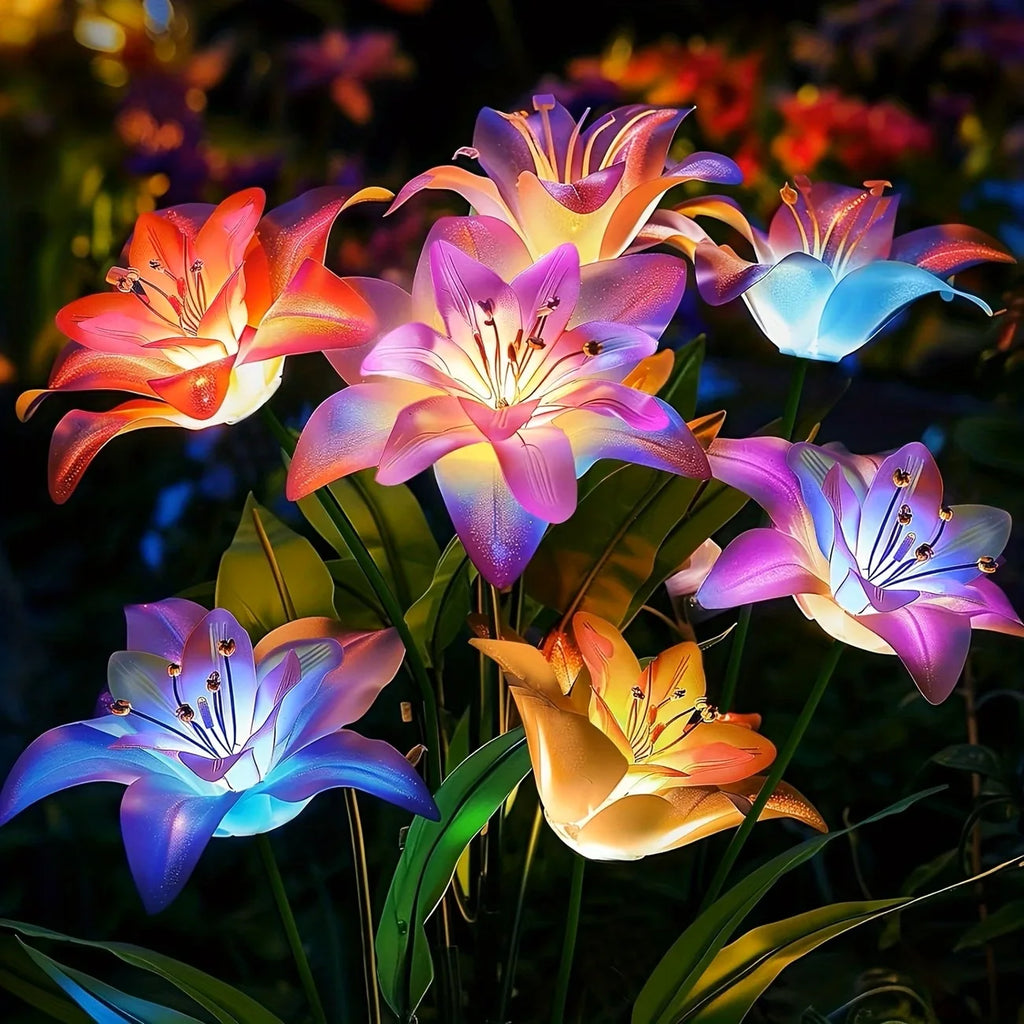 Solar Blooming Lily Flower