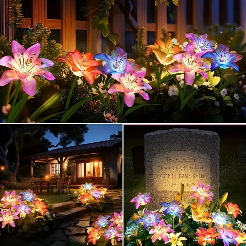 Solar Blooming Lily Flower