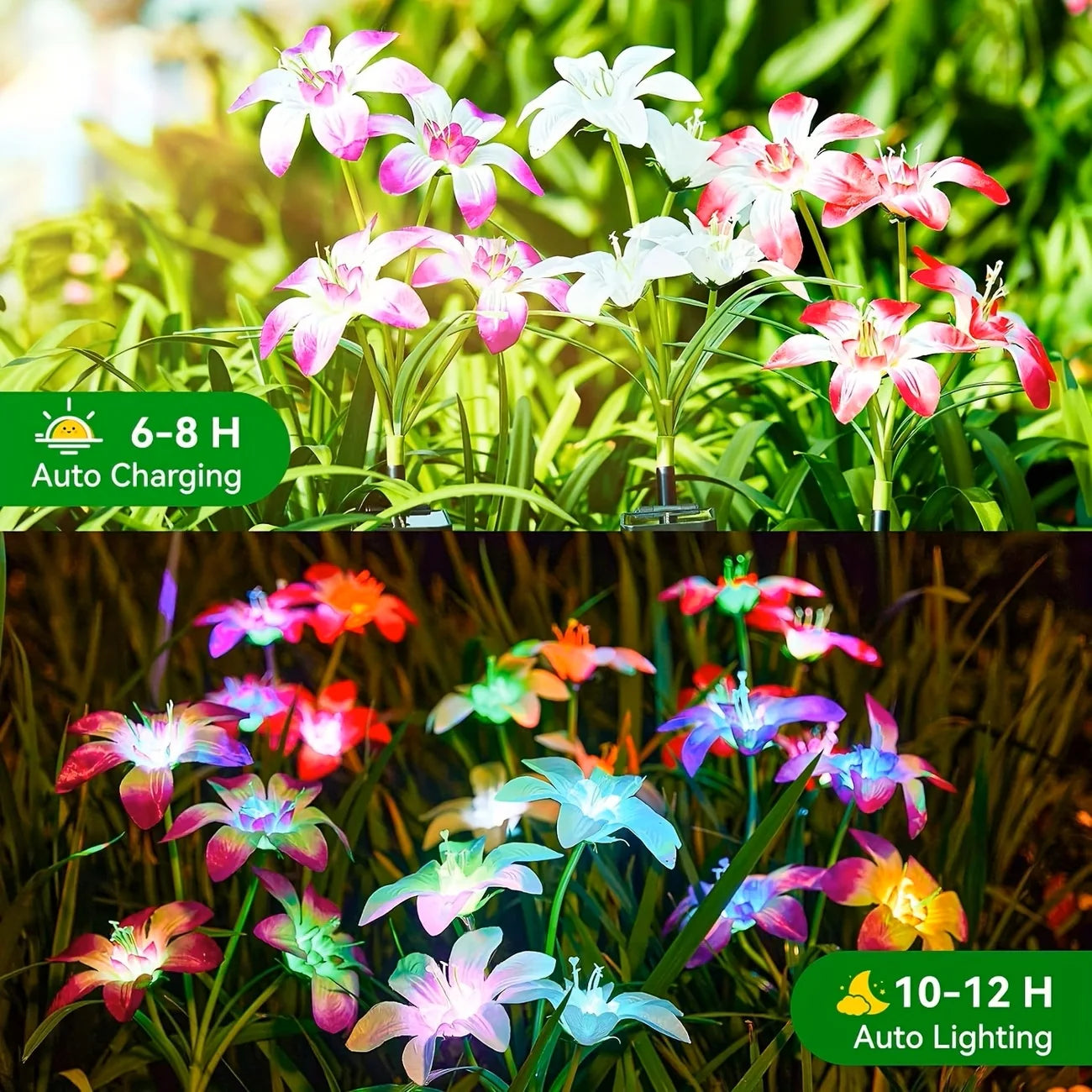Solar Blooming Lily Flower