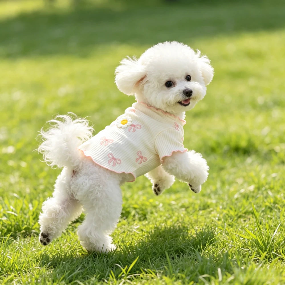 Summer  Pet Tshirt