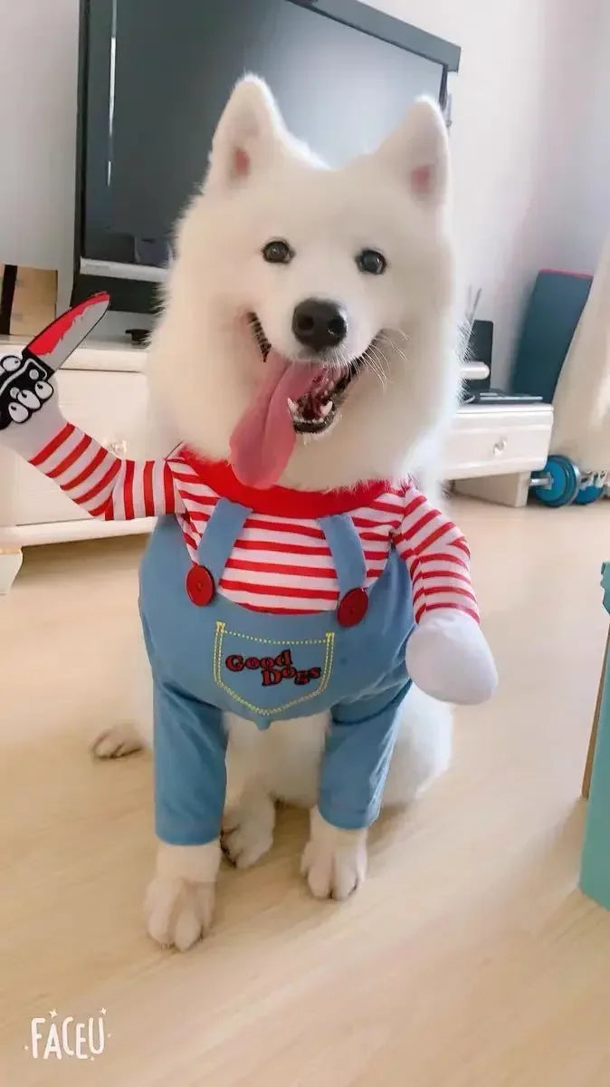 Halloween Chucky Doll Pet Costume
