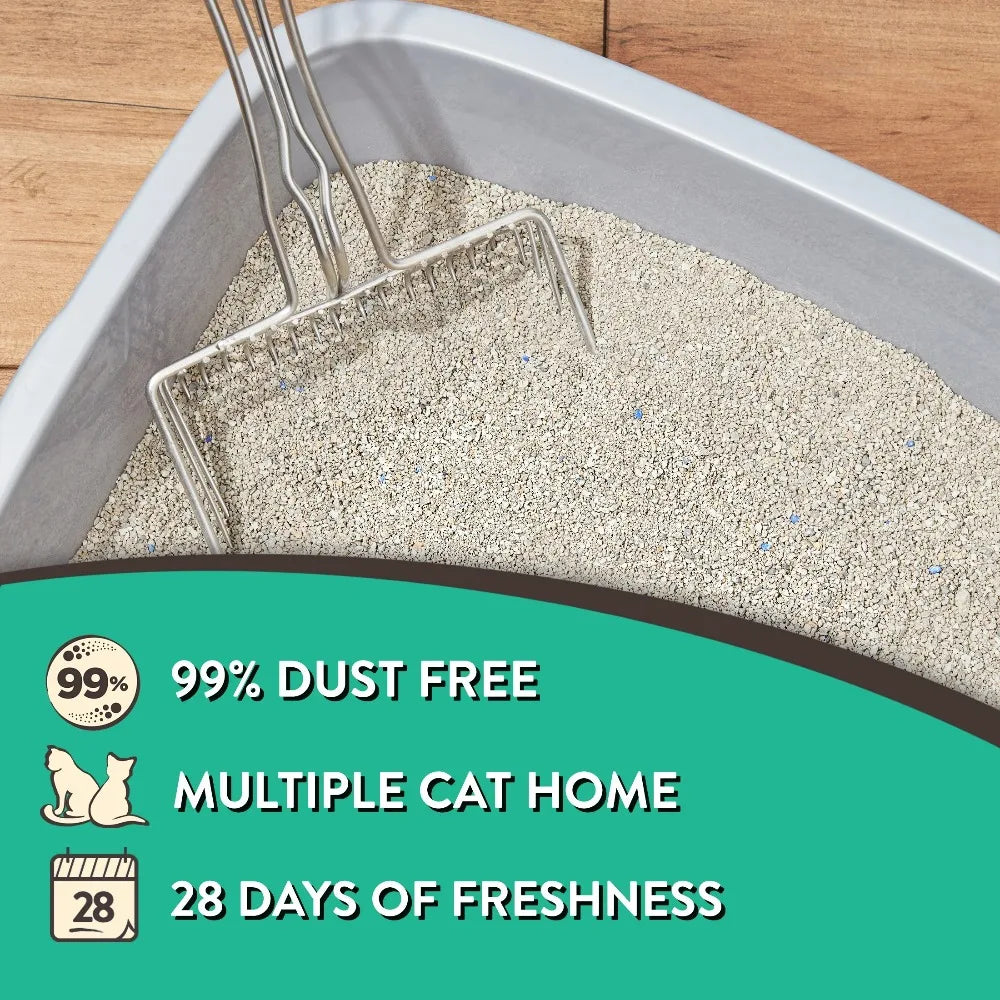 4-Pack Special Kitty Clumping Clay Cat Litter 20lbs