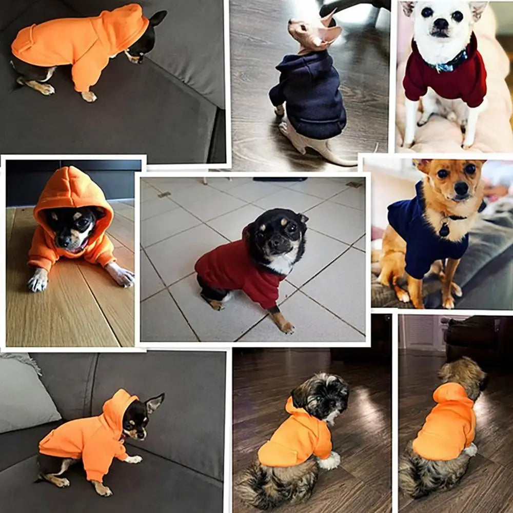 Winter Sweatshirt Jacket  Pet Coat