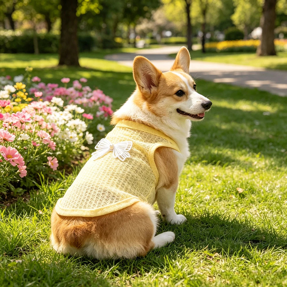 Breathable Summer Pet Outfit
