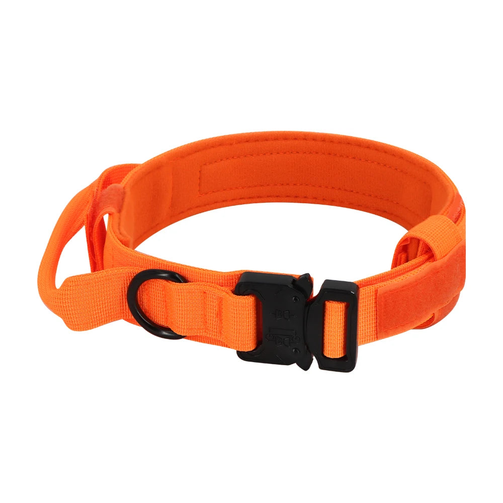 Adjustable Dog Training Collar  And Leash Set