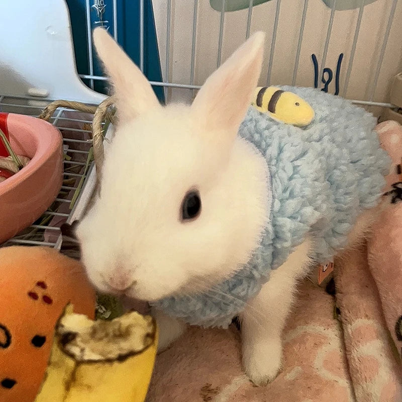 Warm Velvet Small Animal Pullovers