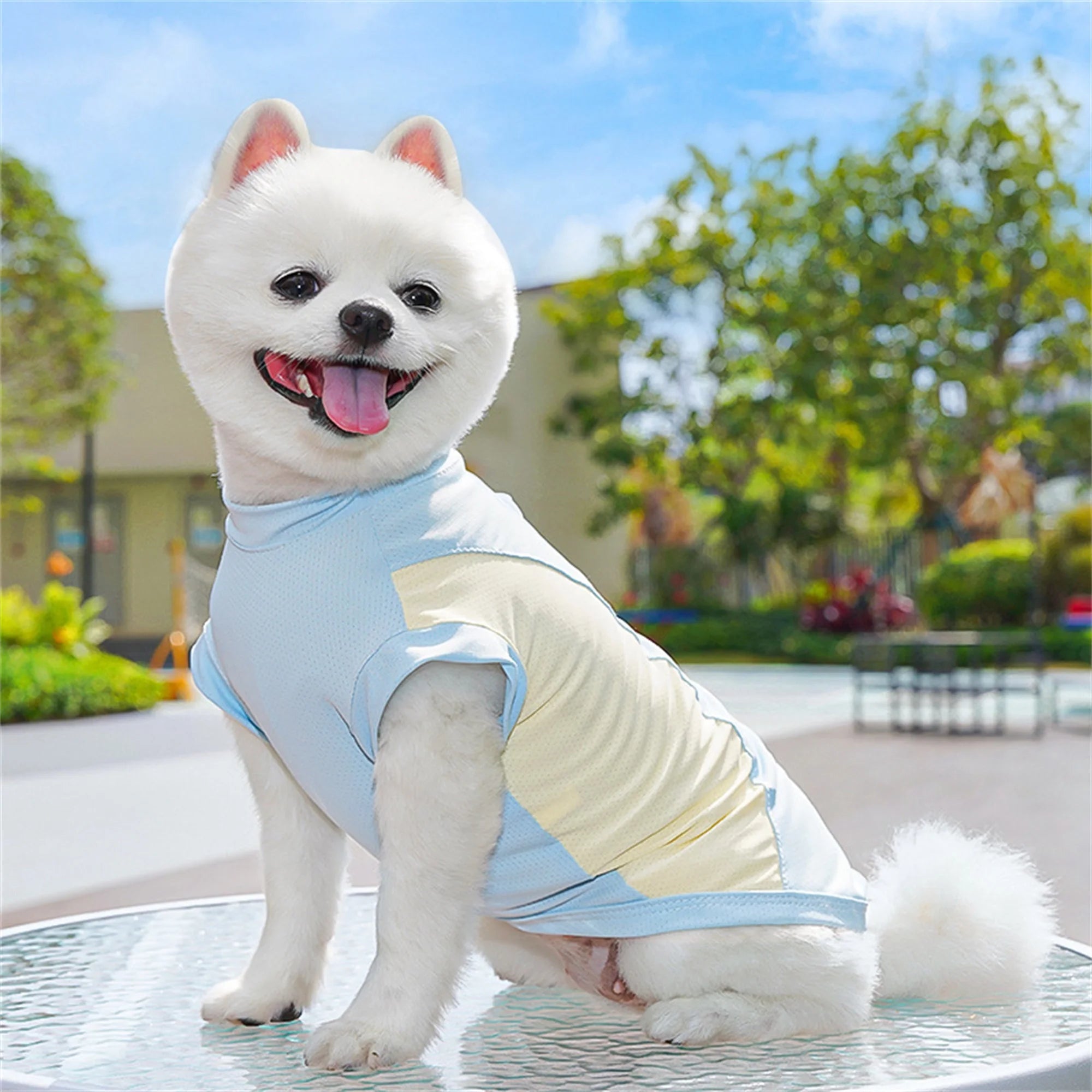 Breathable Cooling T-Shirt with Ice Silk Material for Pets