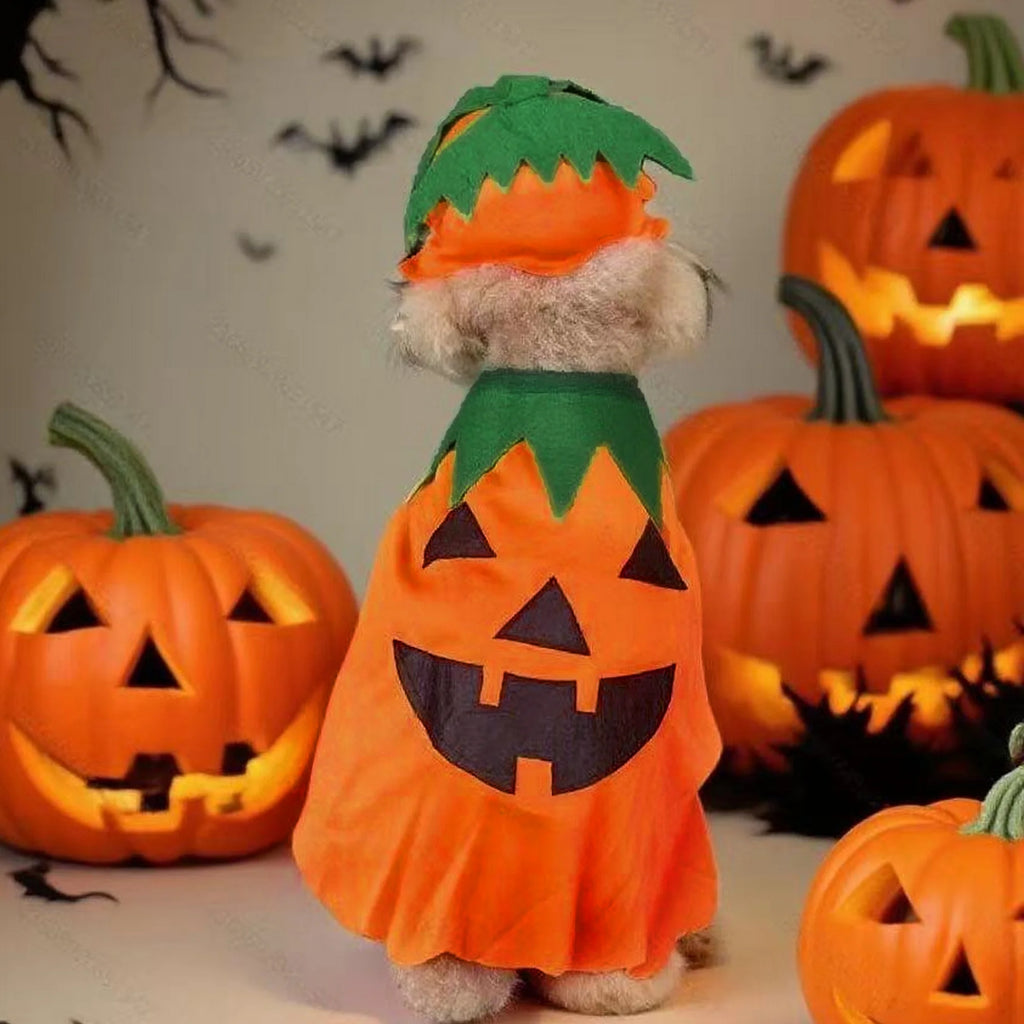 2Pcs Halloween Costumes