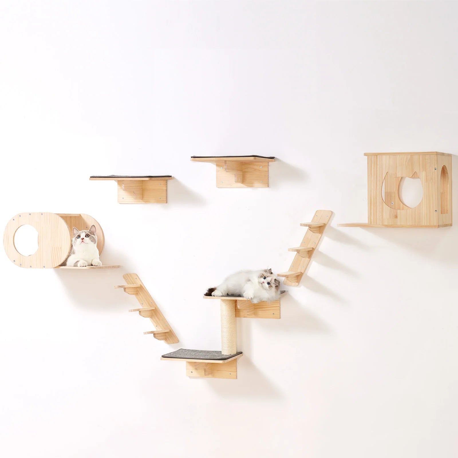 Cat Wall Shelves and Perches with Jumping Boards