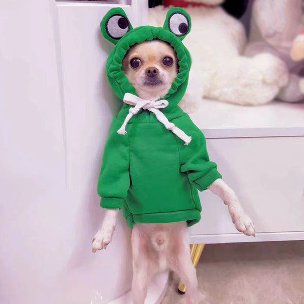 Cute Fruit Pet Clothing Puppy Cat Costume