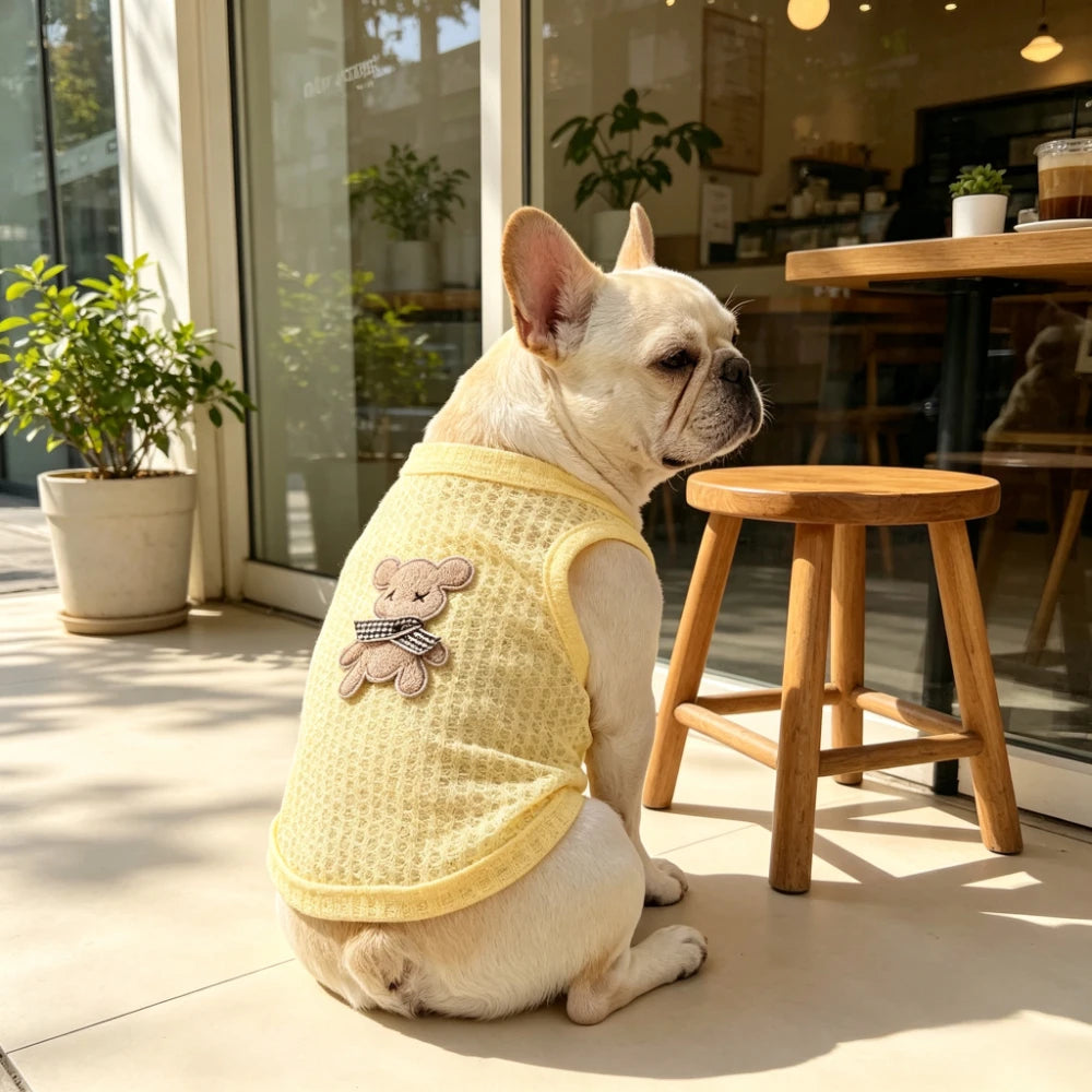 Waffle Knit Pet Outfit