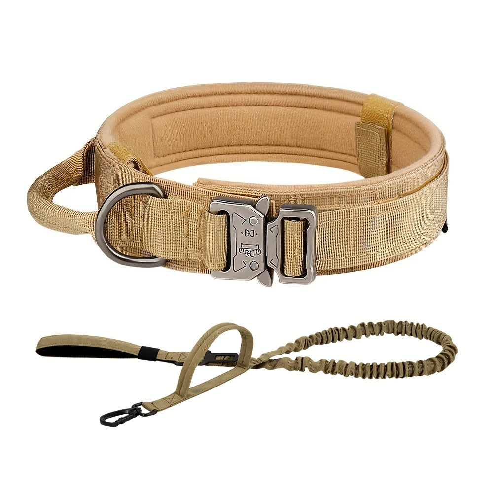 Adjustable Dog Training Collar  And Leash Set
