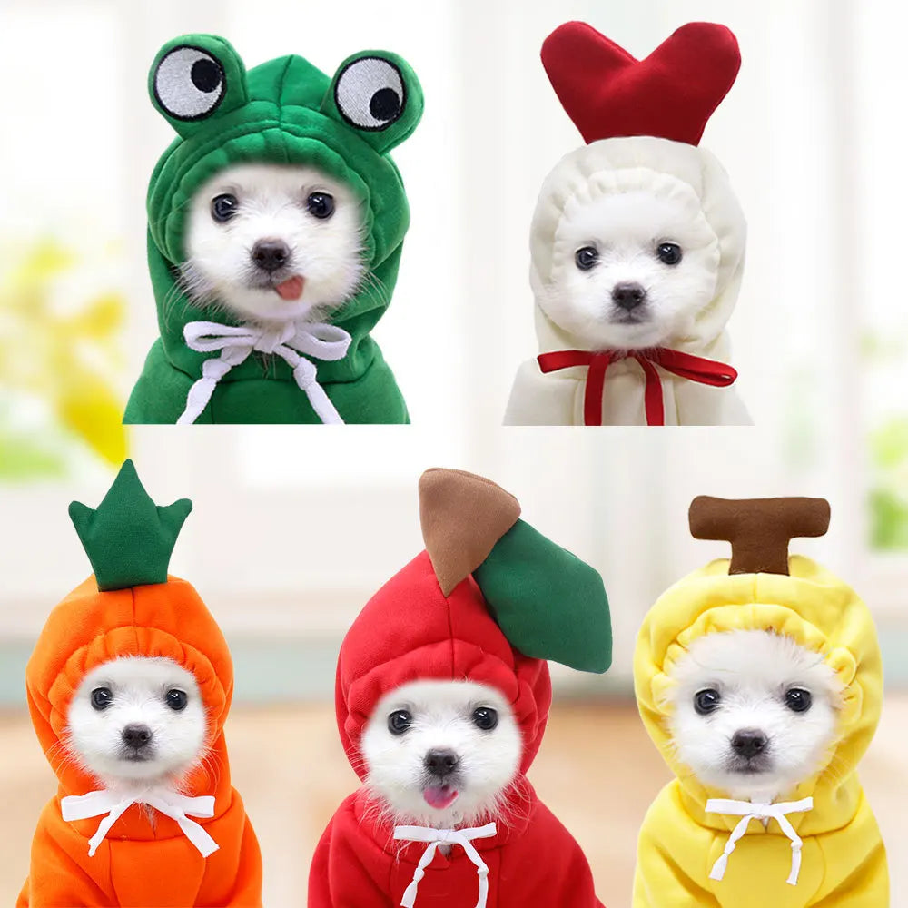 Cute Pet Sweater for Small & Medium Breeds