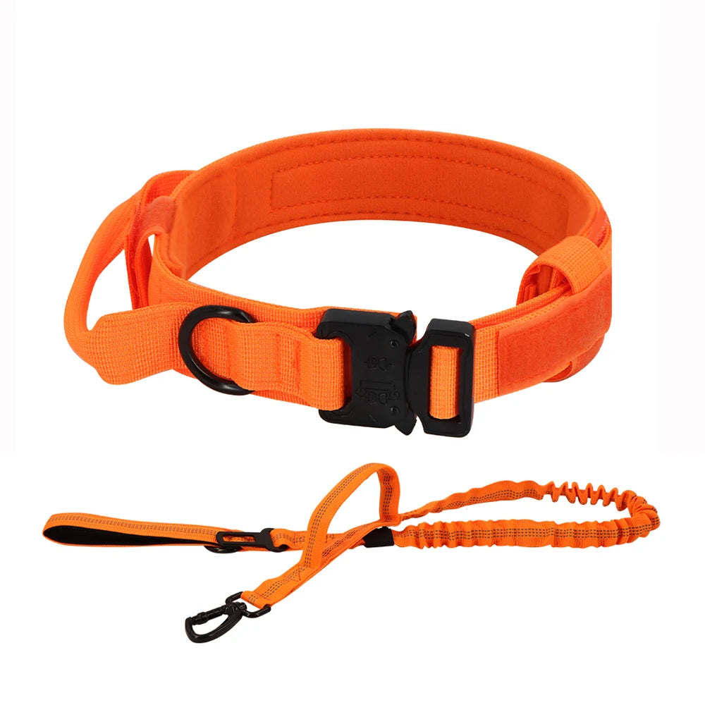 Adjustable Dog Training Collar  And Leash Set