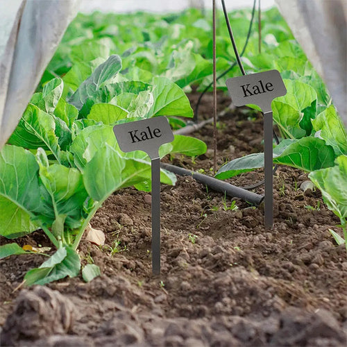 10Pcs Metal Plant Labels Weatherproof