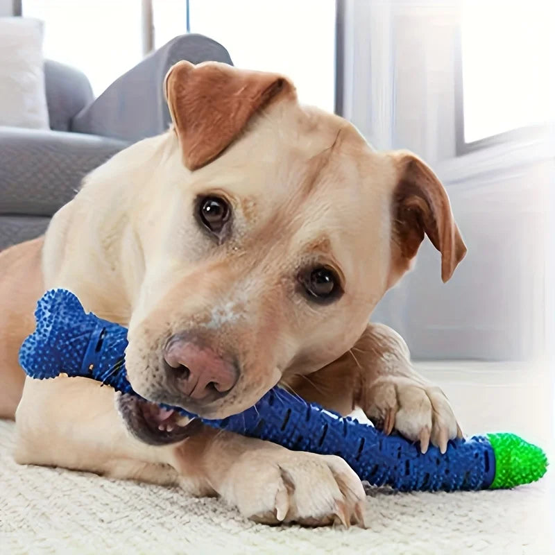 Pet Dental Cleaning Chew Toy
