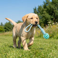 Cotton Rope & Rubber Dog Toy/ Treat Dispenser
