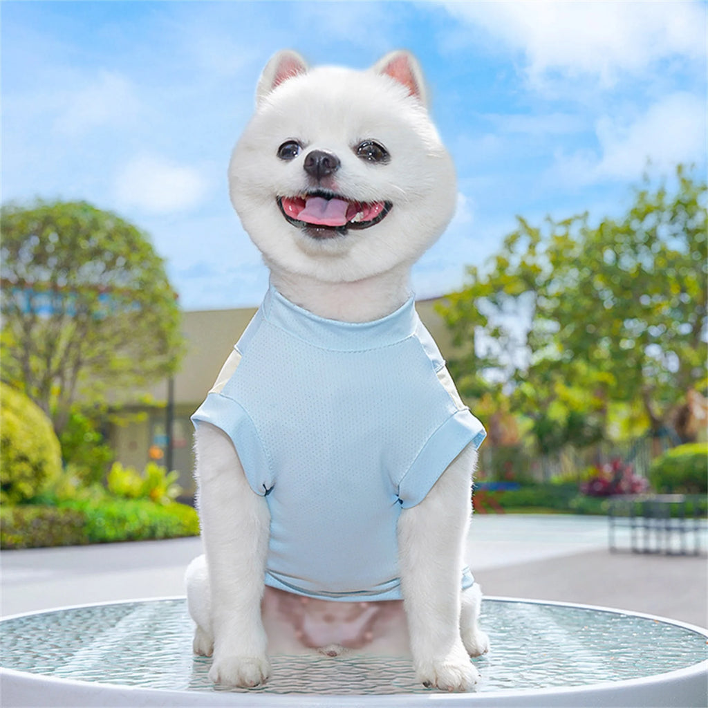 Breathable Cooling T-Shirt with Ice Silk Material for Pets