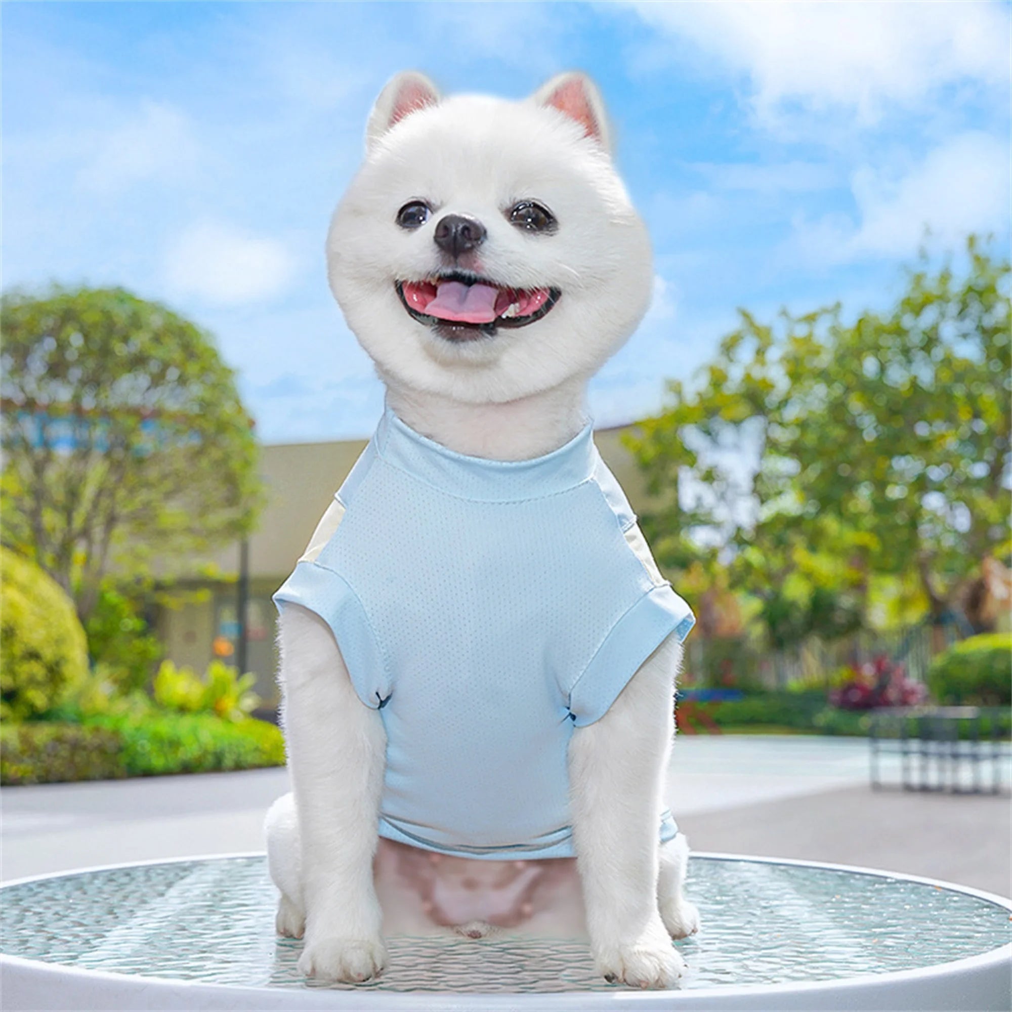 Breathable Cooling T-Shirt with Ice Silk Material for Pets