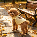 Summer Pet Outfit