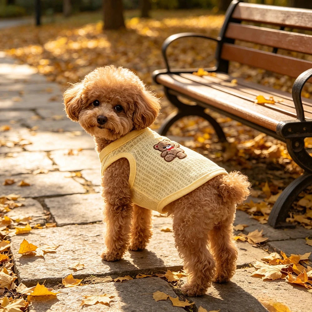 Summer Pet Outfit