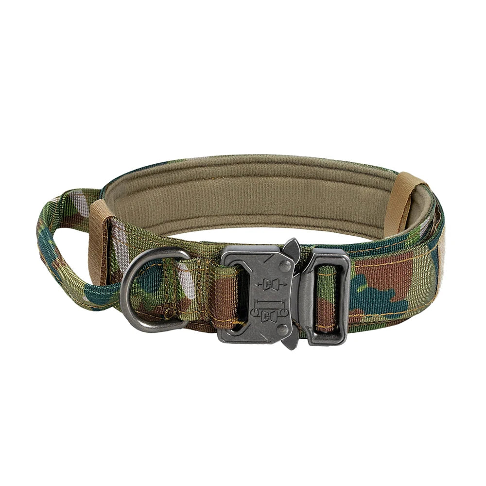Adjustable Dog Training Collar  And Leash Set