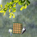 Outdoor Suet Feeder Cage Hanging Basket