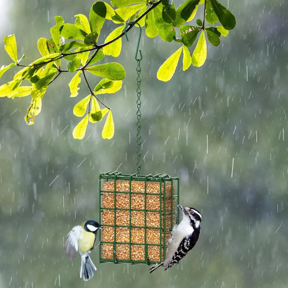 Outdoor Suet Feeder Cage Hanging Basket