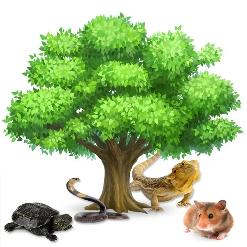 Natural Poplar Cage Material