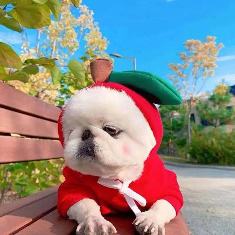 Cute Pet Sweater for Small & Medium Breeds