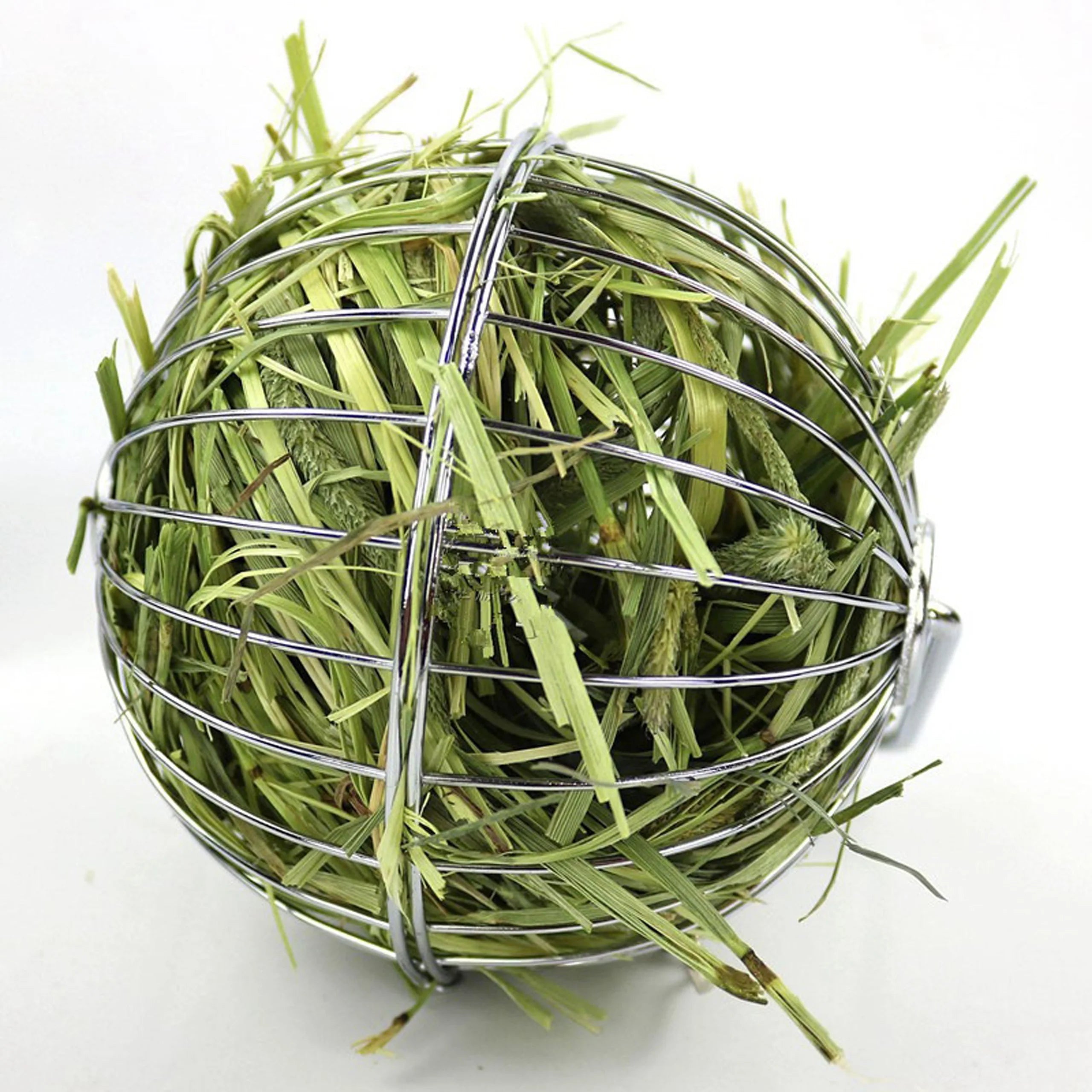 1 Pc Pet Hay Ball Feeder Dispensing