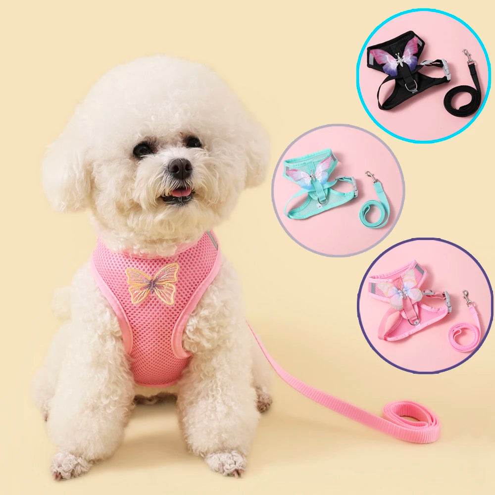 Cute Butterfly  Cat/ Small Dog Harness Set