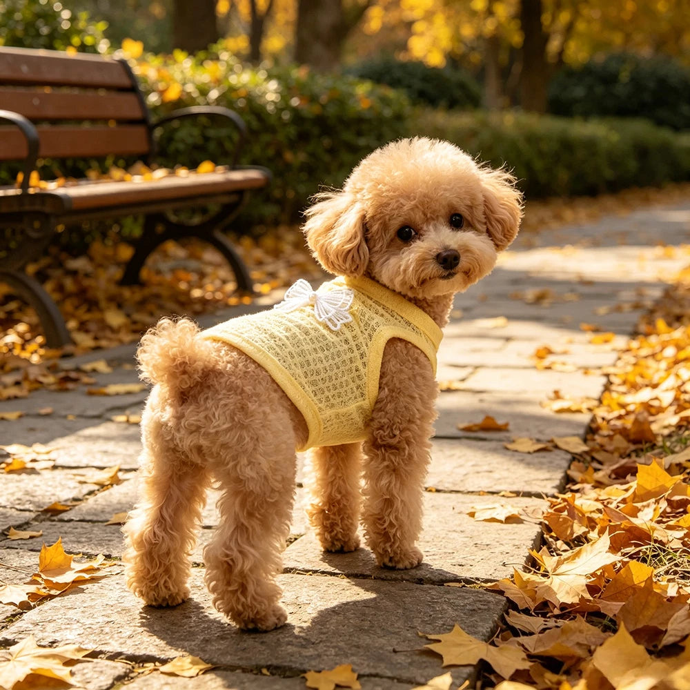 Breathable Summer Pet Outfit
