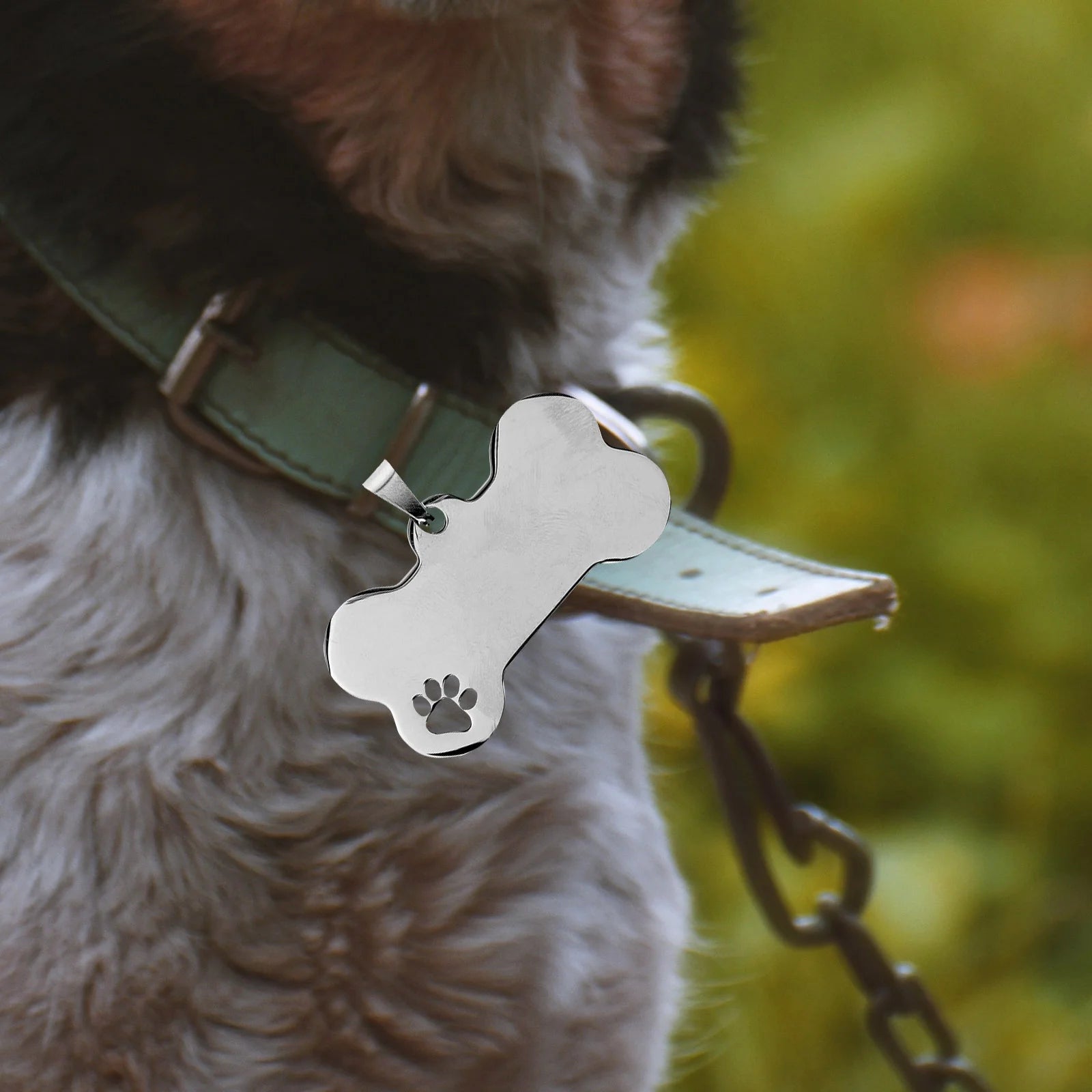 Stainless Steel Pet Id Tags Personalized Engraved 10 Piece