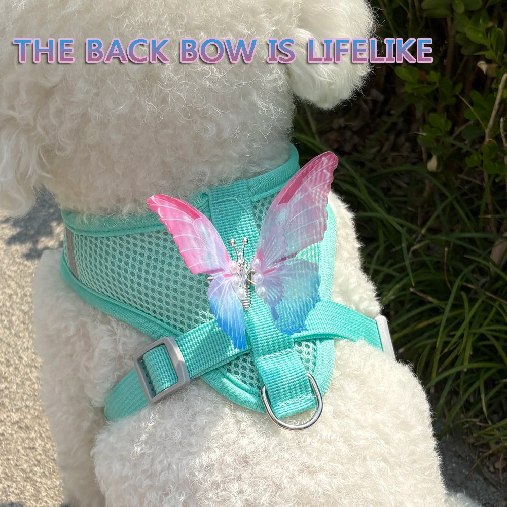 Cute Butterfly  Cat/ Small Dog Harness Set