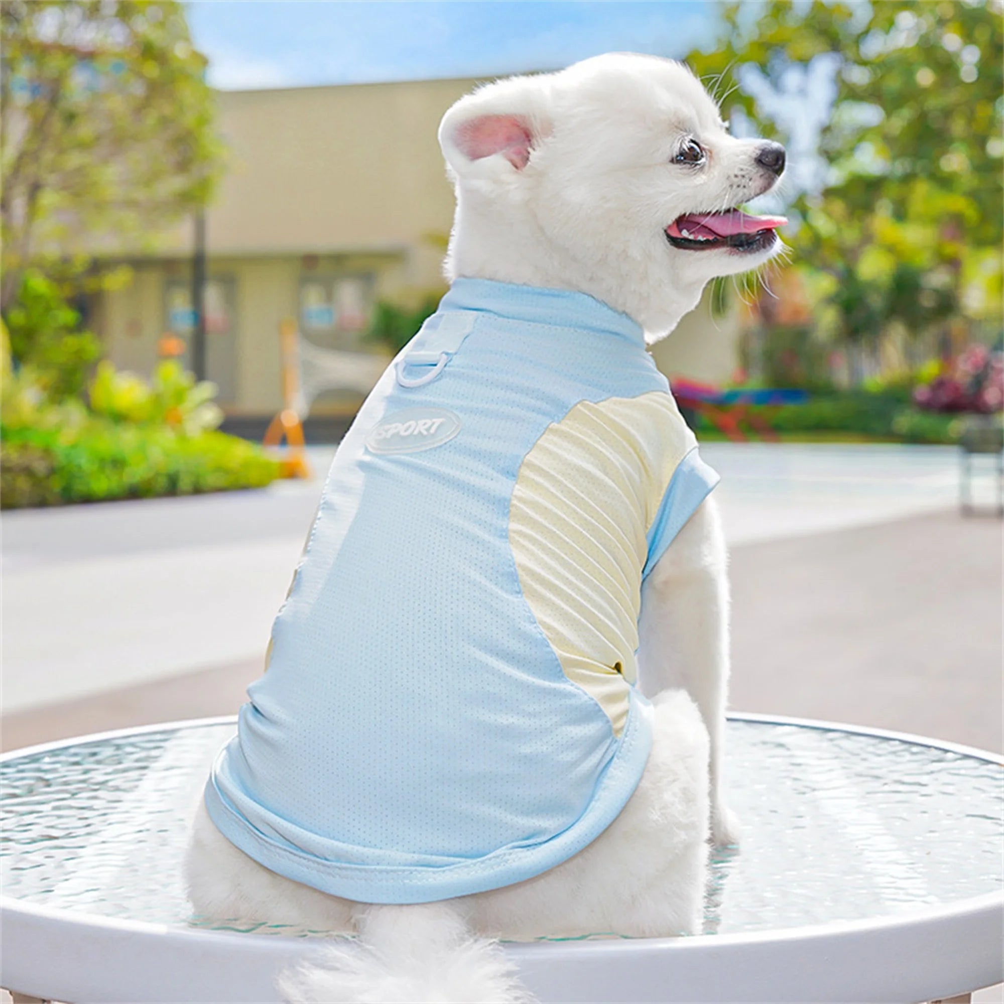 Breathable Cooling T-Shirt with Ice Silk Material for Pets