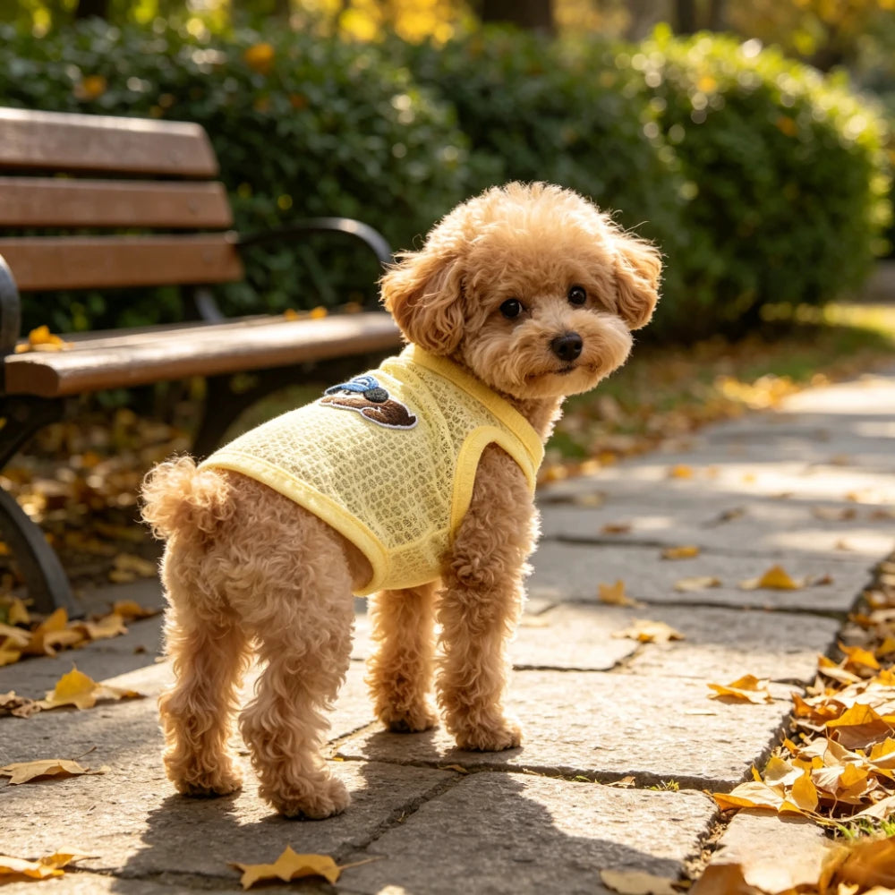 Waffle Knit T-shirt