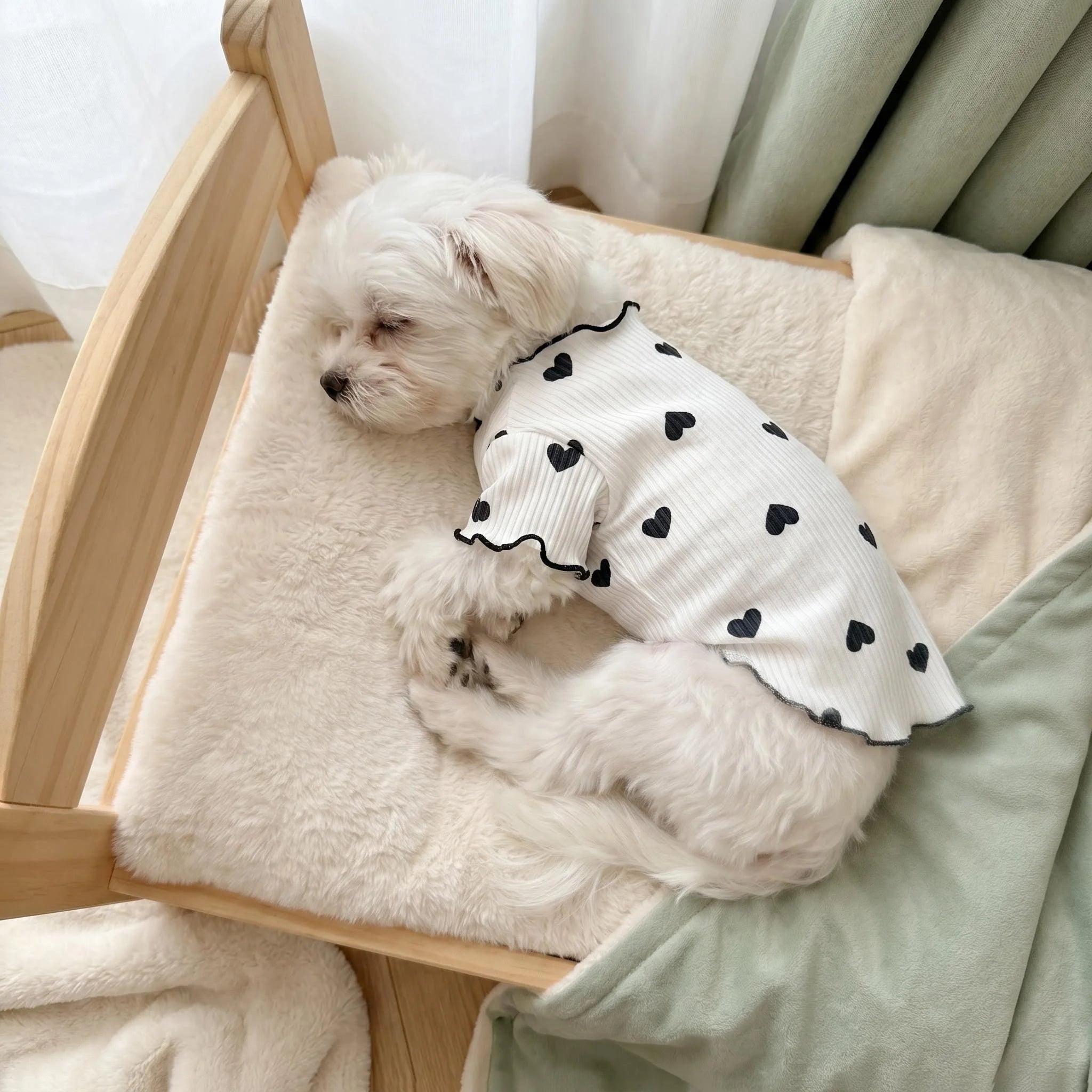 1PC Cute Heart or bow tie pattern Dog/Cat Shirt