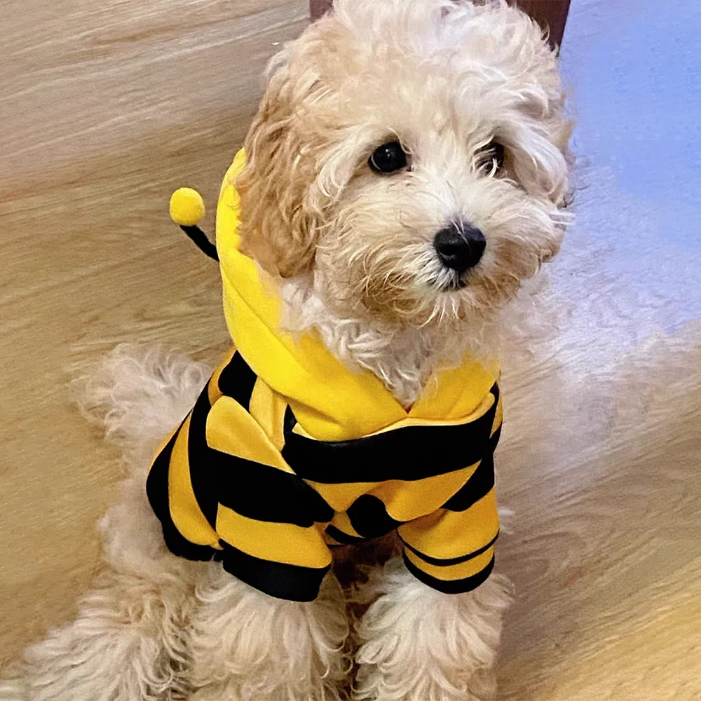 Cute Bee Costume Dog Cat Hoodie