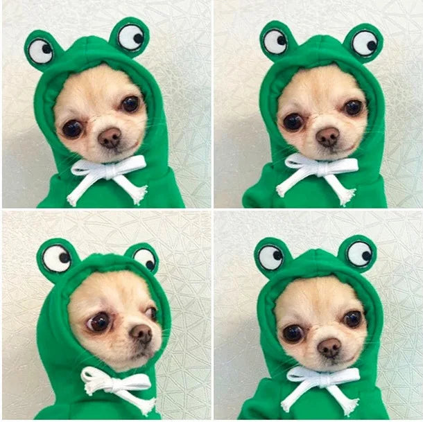 Cute Pet Sweater for Small & Medium Breeds
