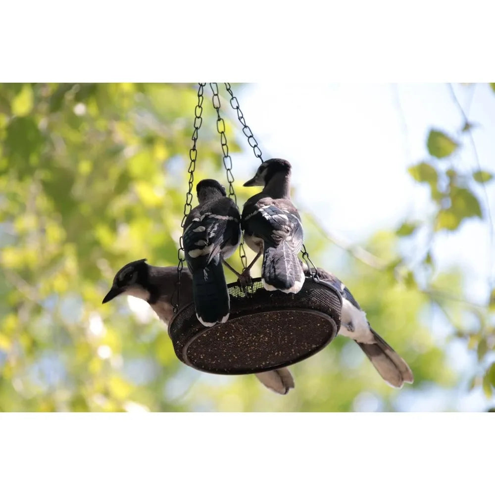 Metal Mesh Platform Bird Feeder