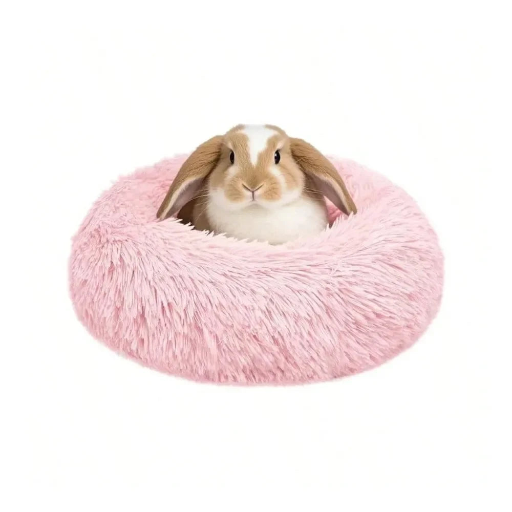 Pet Furniture & Beds Dog, Cat, Rabbit, Guinea pig