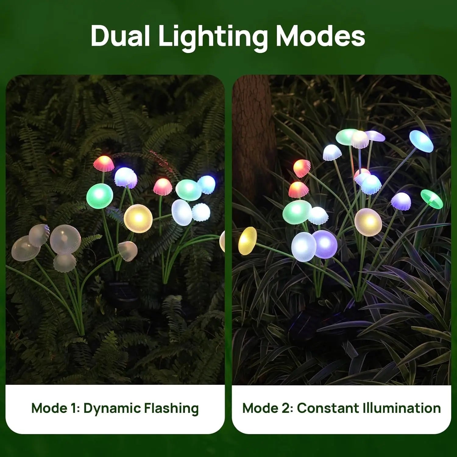 LED Solar Garden Lights