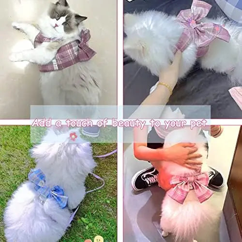 Cute Pet Harness & Dress Set