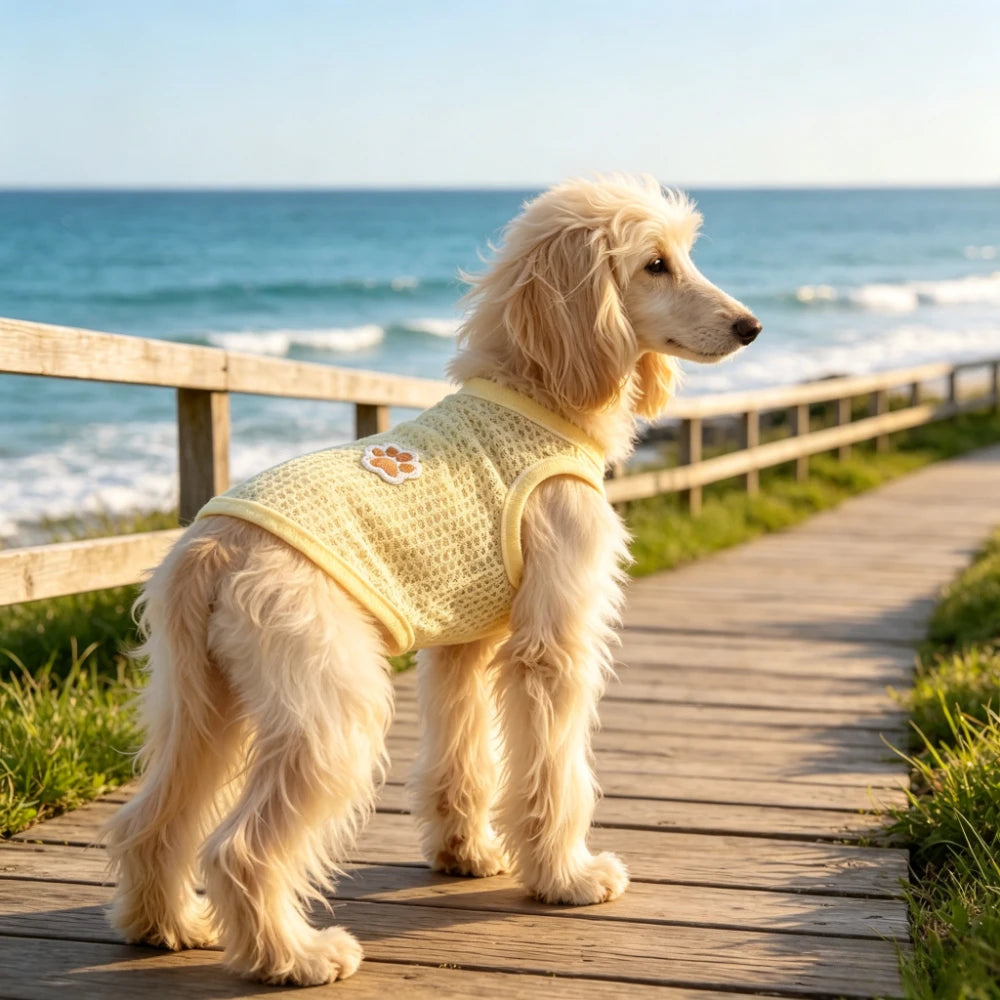 Waffle Knit Pet Clothing