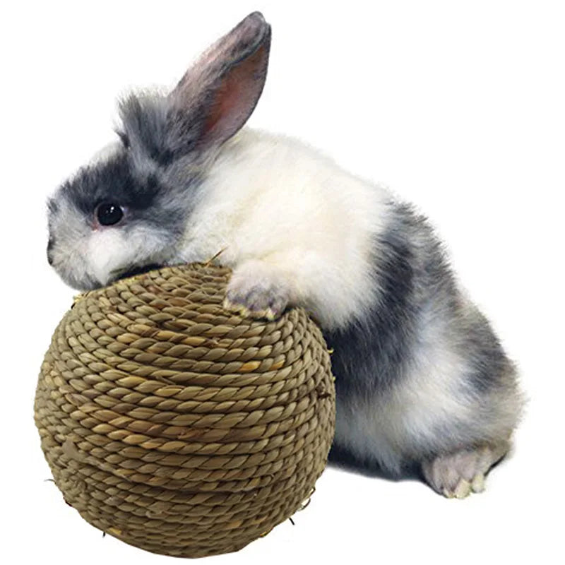 6/10cm Braided Chewing Ball Guinea Pig Rabbit Hamster