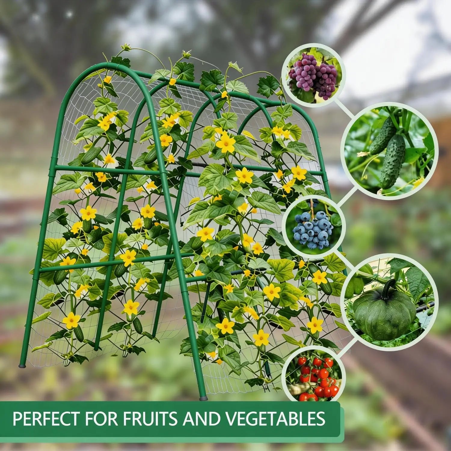 Garden Arch/ Trellis for Raised Beds