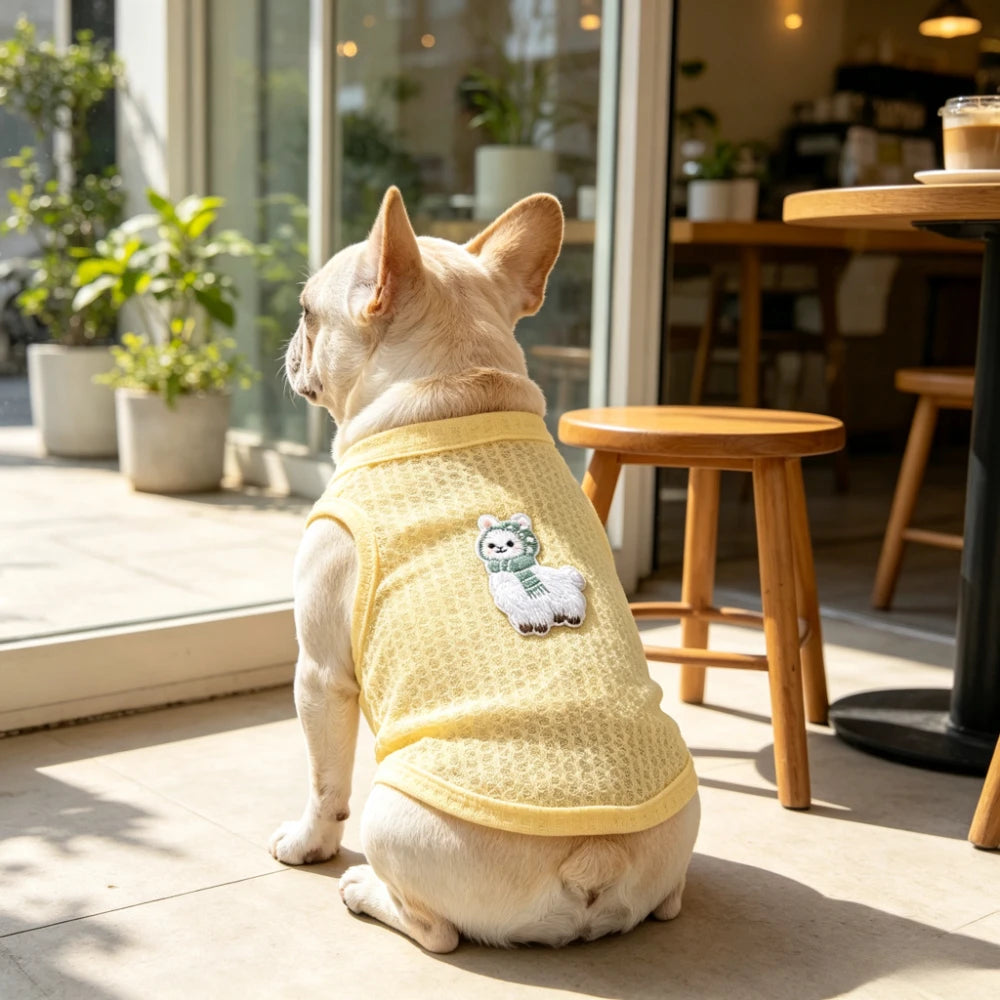 Summer Pet Outfit