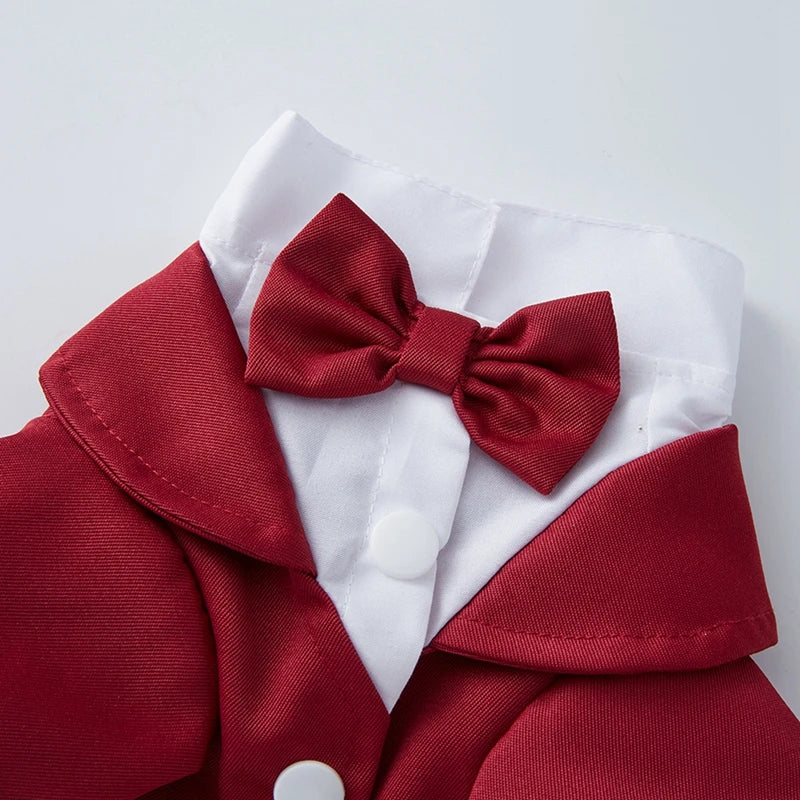 Pet Wedding Tuxedo Formal Party Suit