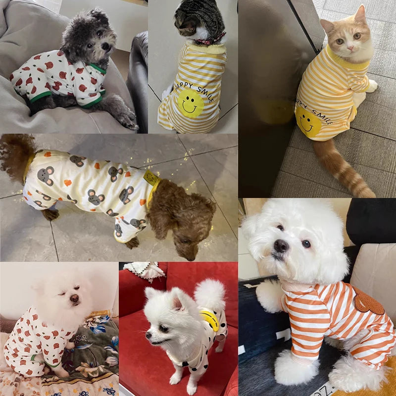 Pet Clothes/ Costume